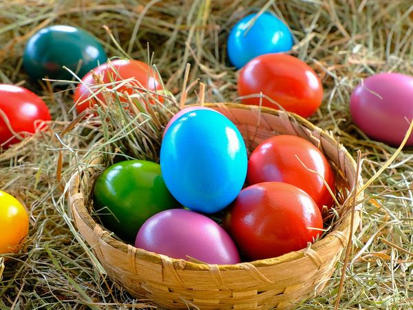 Familienabenteuer auf der Osterkirmes in Dortmund Frühstück