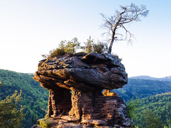 3 Frühlingstage in der Südpfalz mit Private Sauna in Herxheim OT Hayna Halbpension