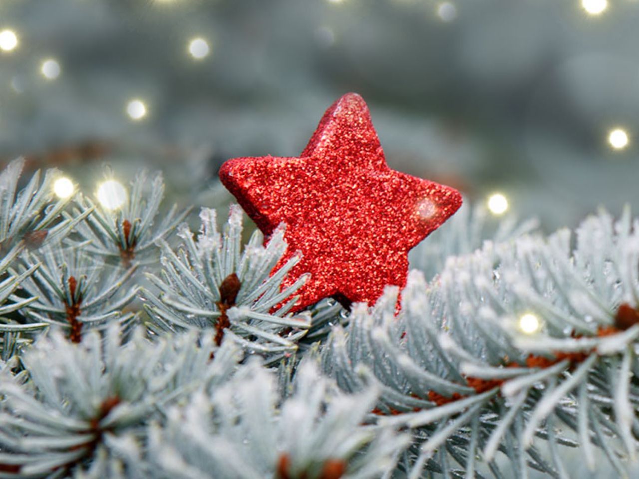 Fröhliche Weihnachten