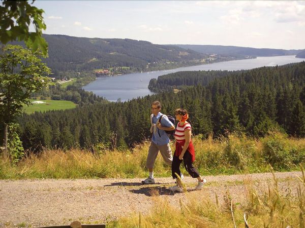 4 Tage Erholung im Bio- und Wellnesshotel Alpenblick in Höchenschwand, Baden-Württemberg inkl. Halbpension