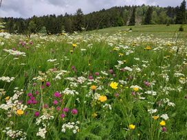 4 Tage Yoga-Retreat im Schwarzwaldhotel in Todtmoos