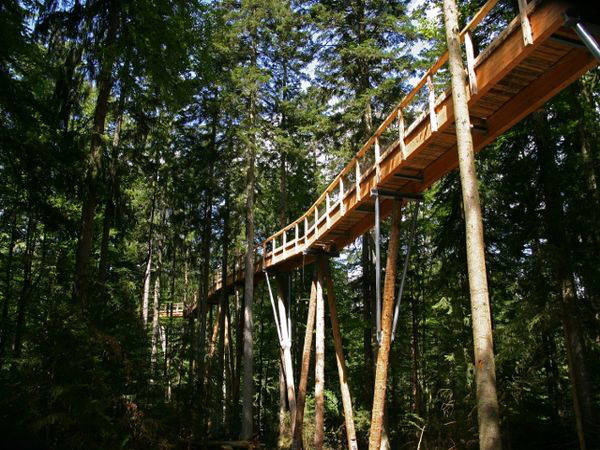 3 Tage Gipfelstürmer: der weltweit längste Baumwipfelpfad! in Neuschönau, Bayern inkl. Frühstück