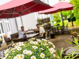 2 Tage an der Donau im ibis Regensburg City Hotel