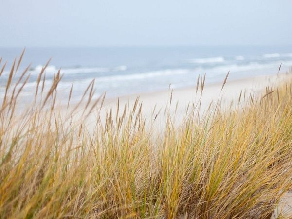 6 Tage Kurzurlaub in Binz auf Rügen inkl. Abendessen in Ostseebad Binz, Mecklenburg-Vorpommern inkl. Halbpension