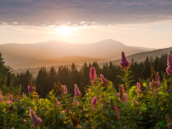 2 Tage Last Minute Herbst Angebot in Bonndorf im Schwarzwald, Baden-Württemberg inkl. Halbpension