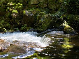 5 Tage und 4 Nächte - den Schwarzwald pur erleben