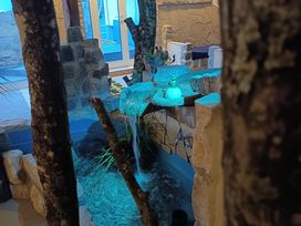 WOW-Whirlpool-Exklusiv I 3 Tage Romantik - Auszeit