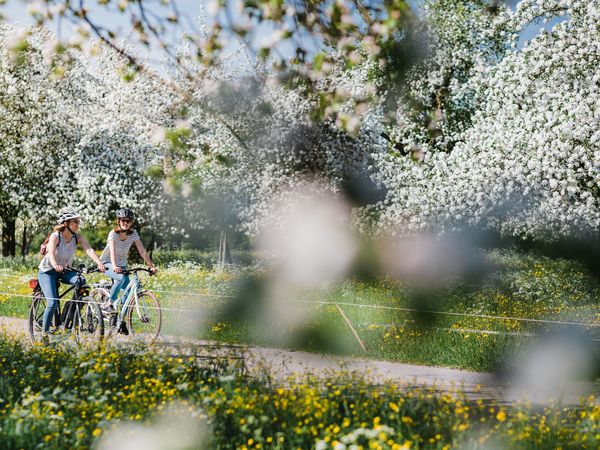DINE & BIKE & WINE - 5 Nächte in Arbon Halbpension