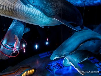 OZEANEUM Stralsund mit Ticket und Hotel