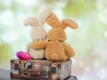 4 Tage Osterurlaub inkl. HP Plus