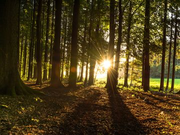 Wellness im Taunus