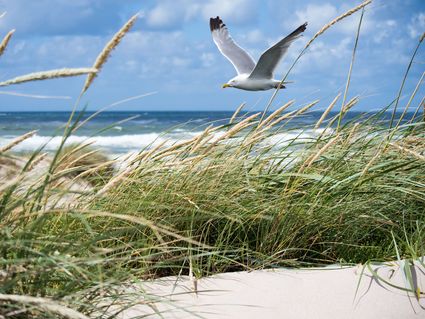 Große Insel-Auszeit - 5 Tage Kurzurlaub auf Rügen inkl. HP Plus