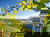 kurz-mal-wanderbar an der idyllischen Mosel /  4 Tage