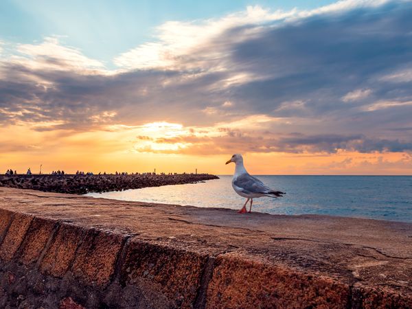 9 Tage Urlaub an der Ostsee im Hotel Focus Gdansk in Danzig, Pommern inkl. Frühstück