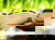 HP+: Wellnesszauber - 6 Tage inkl. Hot Stone Massage