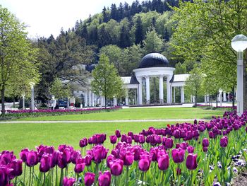 Auszeit im bekannten Kurort Marienbad - 5 Tage
