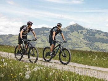 Bild 142 von 308