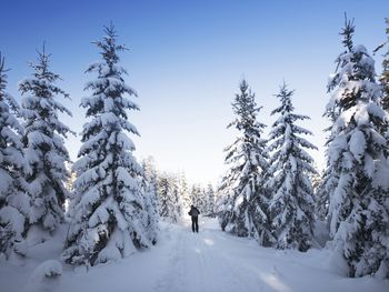 Kleine Wellness-Auszeit - 3 Tage Thüringer Kurzurlaub