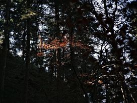 2 Tage Auszeit in der Rhön - Entspannen im Bio Hotel