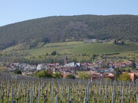 2 Tage - Genuss an der Südliche Weinstraße in Rheinland-Pfalz