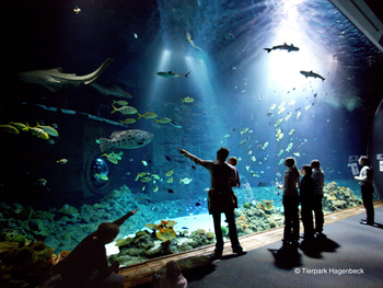 Tierpark und Tropen Aquarium Hagenbeck in Hamburg mit Hotel