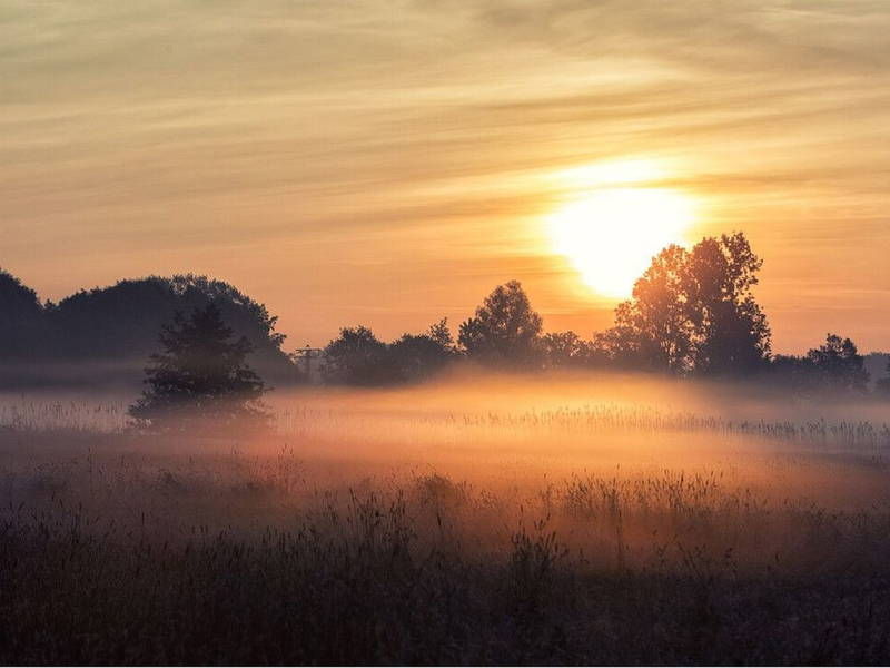 Auszeit am Niederrhein - 3 Tage mit Halbpension