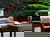 Familien-Erlebnis Prager Zoo - 3 Tage
