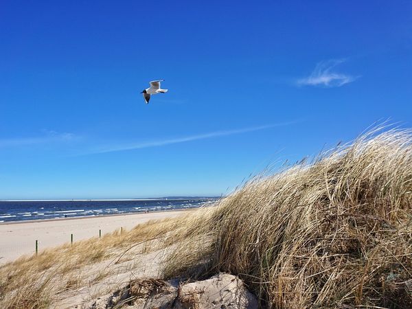 4 Tage Ostsee pur ~ Ab nach Swinemünde mit Halbpension Baltic Park Fort in Swinemünde (Swinoujscie), Westpommern inkl. Halbpension