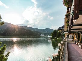 Auf zur Arnikablüte zwischen Steiermark & Kärnten