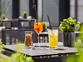 Tierisch Erfurt - Urlaub mit dem Hund | 2 Tage