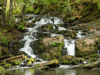 Wandern im Selketal