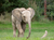 Opel-Zoo Tickets mit Hotel