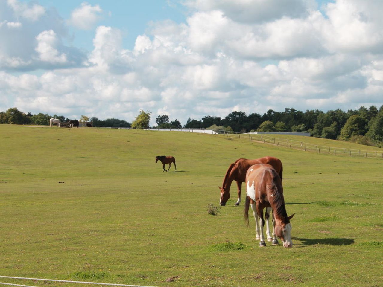 Natur pur: Wanderurlaub in der Schorfheide (5 Tage)