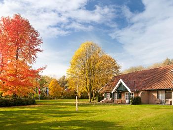 3 Tage Genussreise inmitten niederländischer Natur