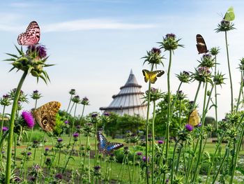 Vier Tage Kurzurlaub an der Elbe in Magdeburg