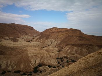 Babenbergerstadt hautnah