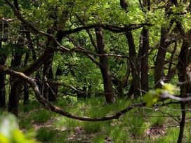 Urlaub im Nationalpark De Meinweg - 7 Tage