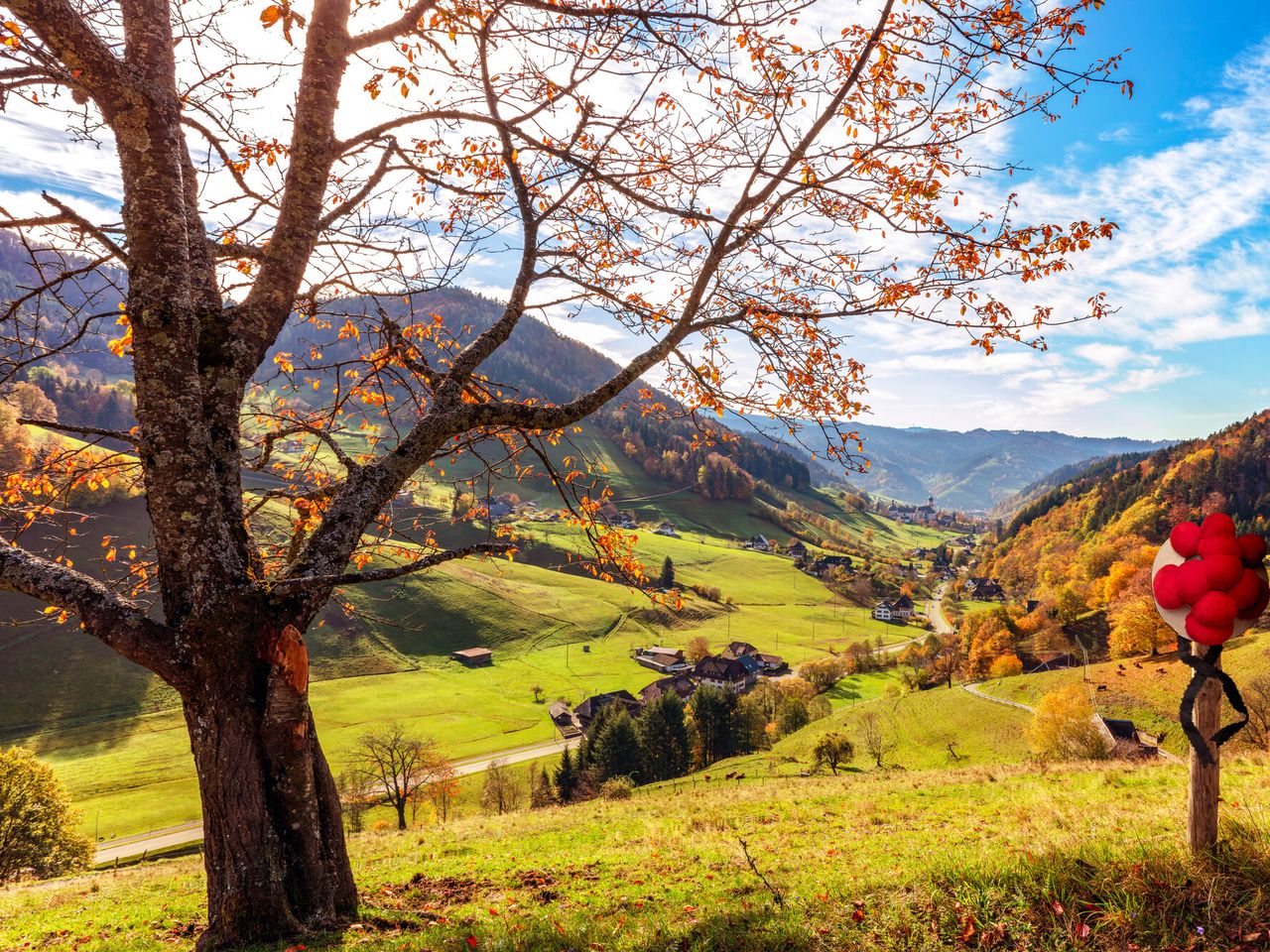 3 Tage Schwarzwald: Road - Trip