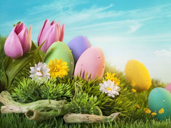 4 Tage Thüringer Osterurlaub am Rennsteig in Finsterbergen (Friedrichroda), Thüringen inkl. Halbpension Plus