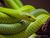 Tierpark und Tropen Aquarium Hagenbeck in Hamburg mit Hotel