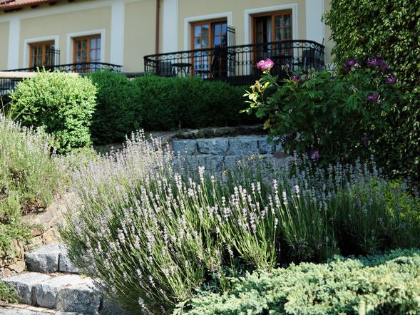 Hotel Gold Chotoviny