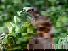 Zoo Abenteuer in Leipzig - 3 Tage
