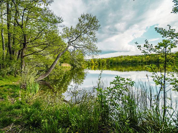Heimat-Genuss "Natur pur" - 3 Tage inkl. Halbpension
