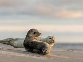 8 Tage Nordseeluft schnuppern