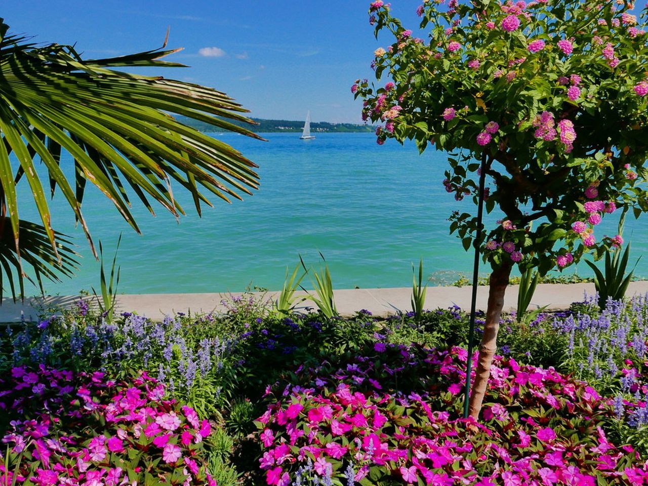 4 Tage Blütenpracht auf der Insel Mainau am Bodensee