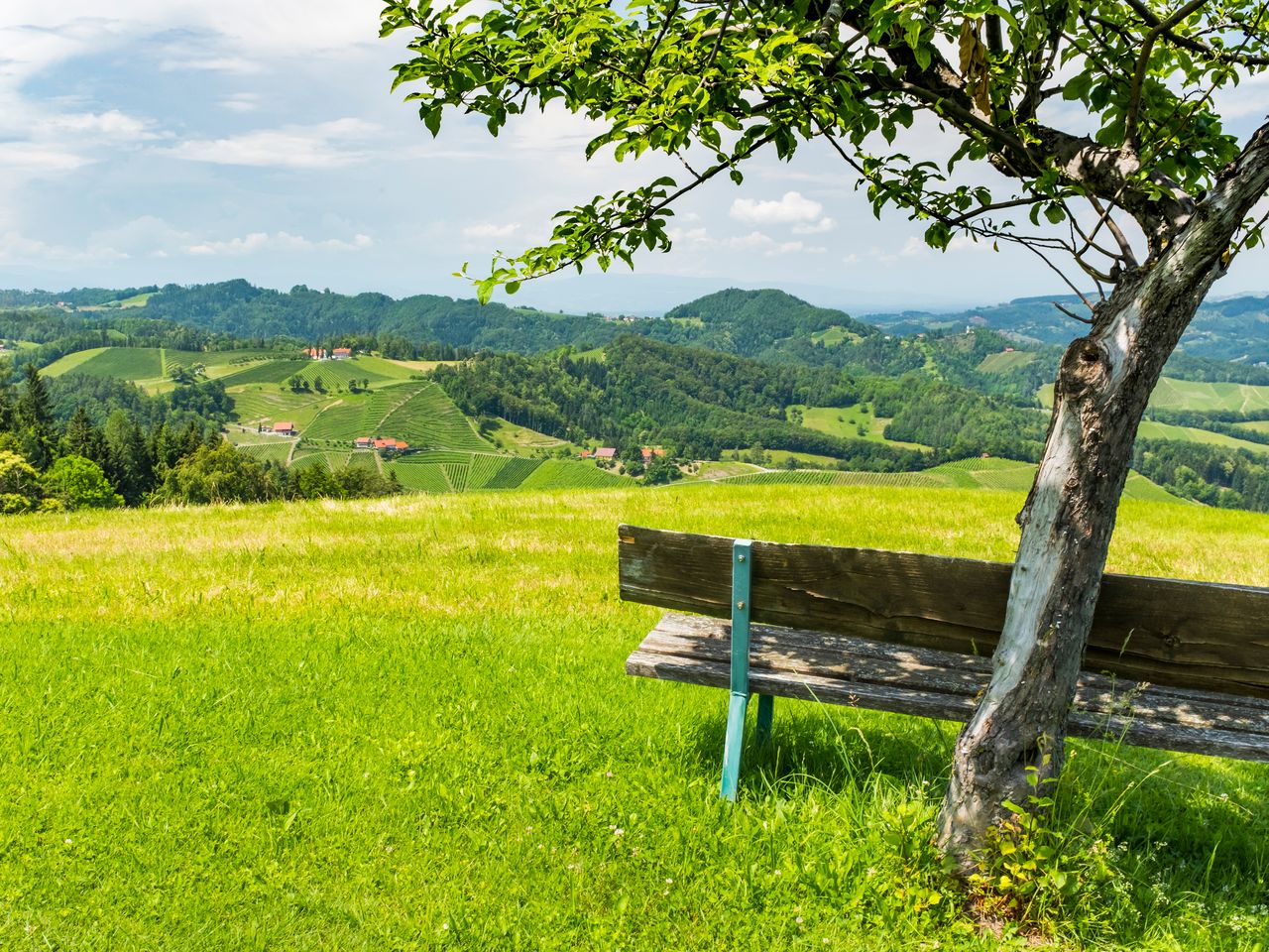 9 Tage zwischen den Weinbergen des Schilcherlandes