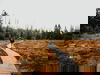 4 Tage im Harz - Unser Winterdeal in Bad Harzburg