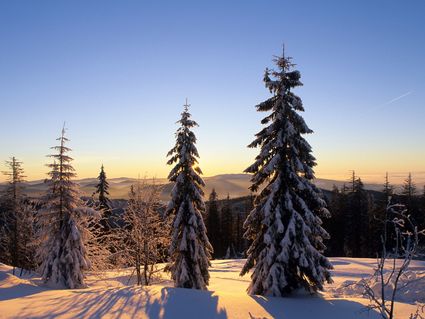 4 Tage Harz-Winterschnäppchen inkl. Halbpension Plus