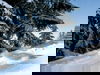 3 Entspannungs-Tage mit HP im Alpenpark Resort