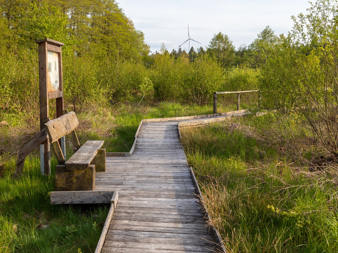 Ihr Wunsch nach Luft, Wald Wasser - 5 Wandertage!